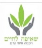 שאיפה לחיים